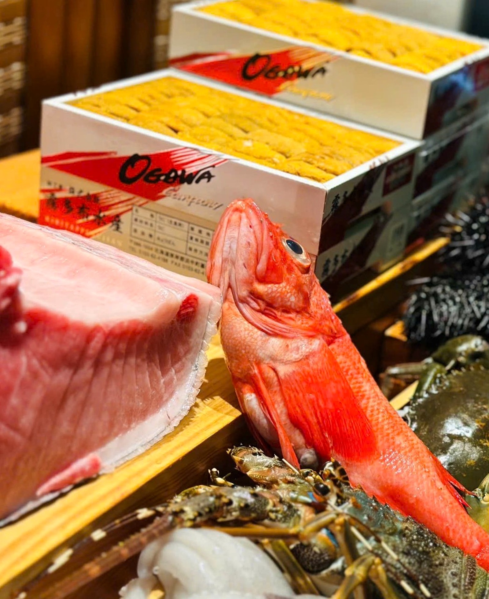 日本から仕入れる魚介